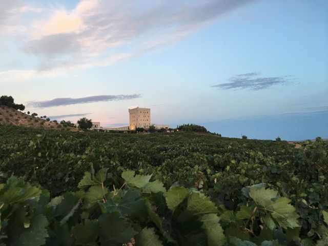 【西班牙北部】Pago de Cirsus 特級葡萄酒莊來去住一晚