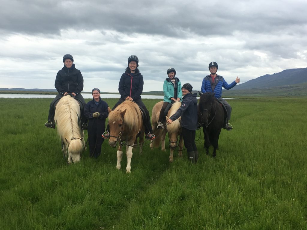 帶爸媽自駕環冰島攻略：農場騎冰島馬合影